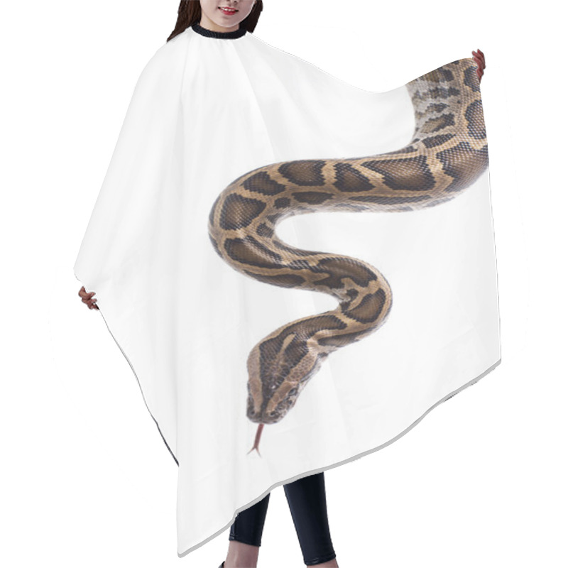 Personality  Dangerous Snake Hair Cutting Cape