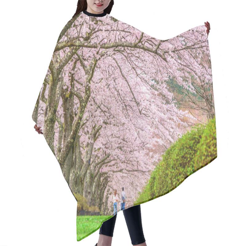 Personality  Shizuoka, Japan In Spring Hair Cutting Cape