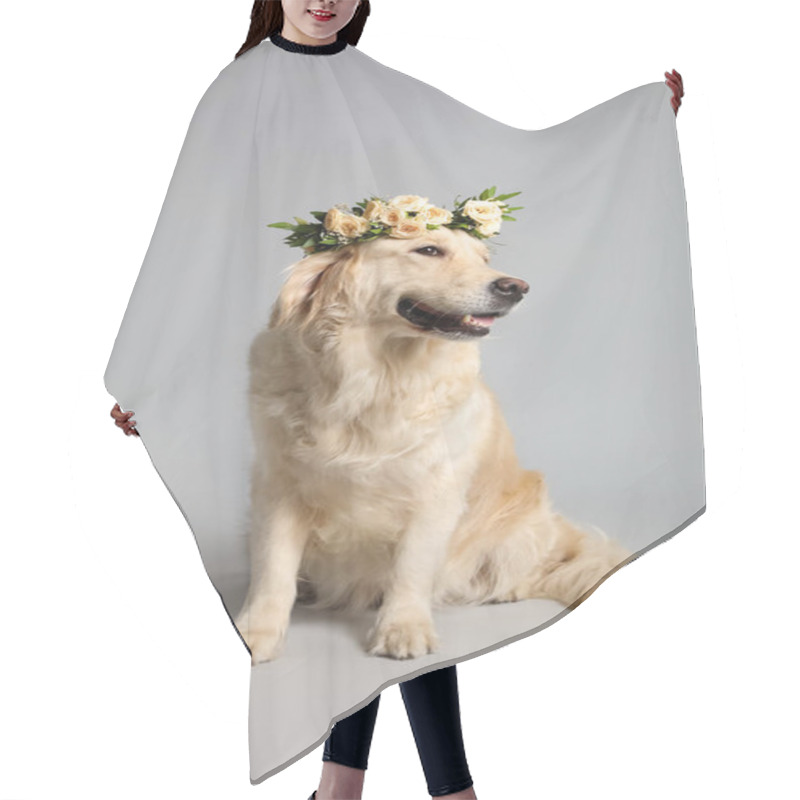 Personality  Adorable Golden Retriever Wearing Wreath Made Of Beautiful Flowers On Grey Background Hair Cutting Cape