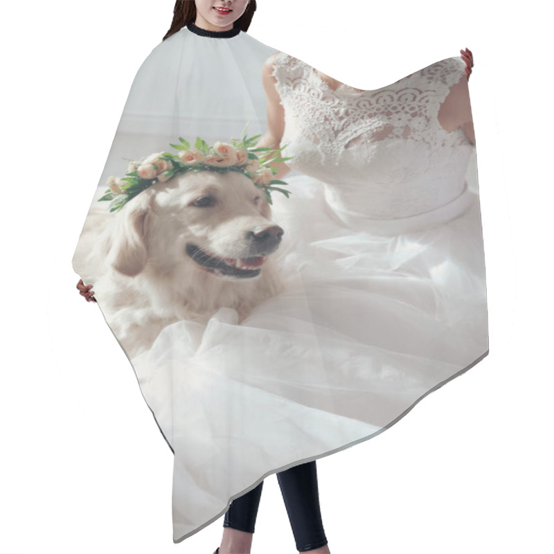 Personality  Bride And Adorable Golden Retriever Wearing Wreath Made Of Beautiful Flowers Indoors Hair Cutting Cape