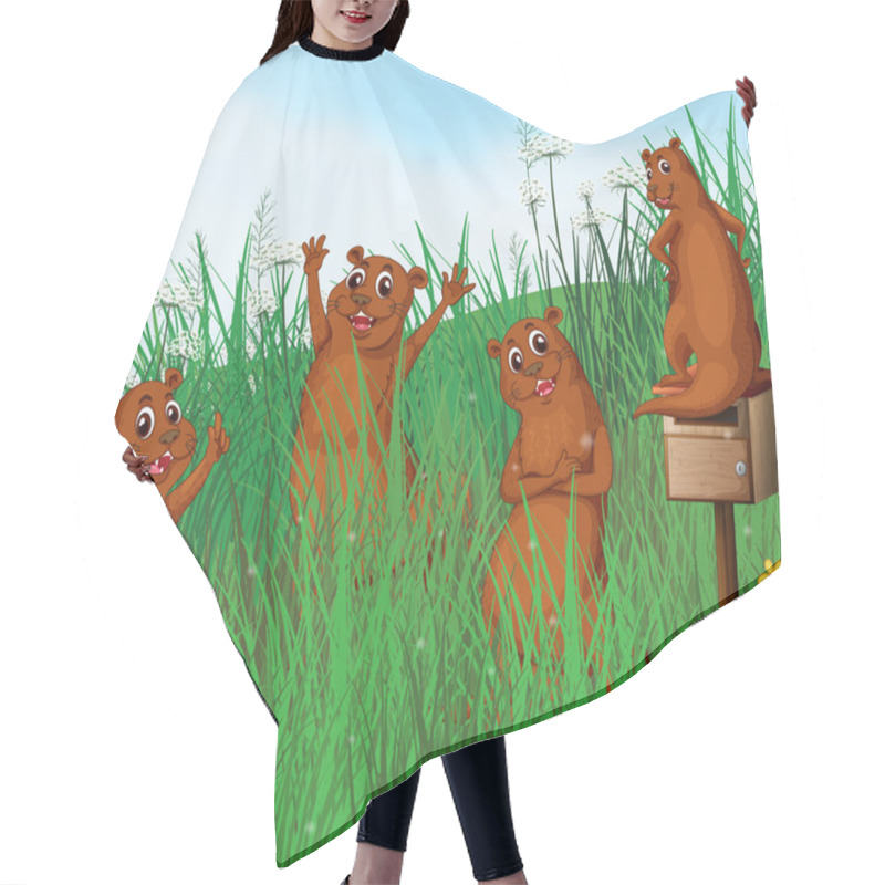 Personality  Wild Animals Hair Cutting Cape