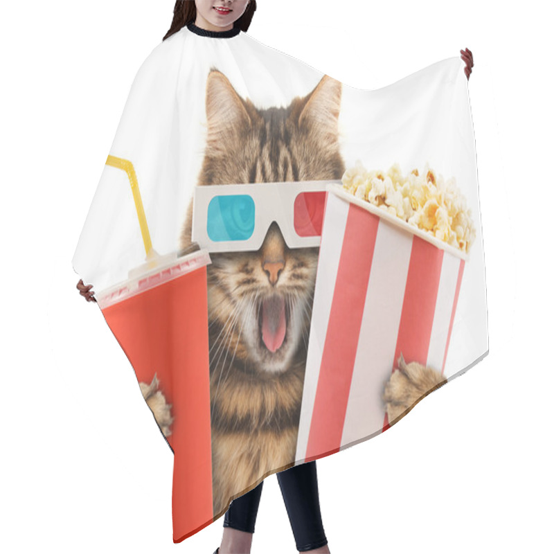 Personality  Cat Watching A Movie Hair Cutting Cape