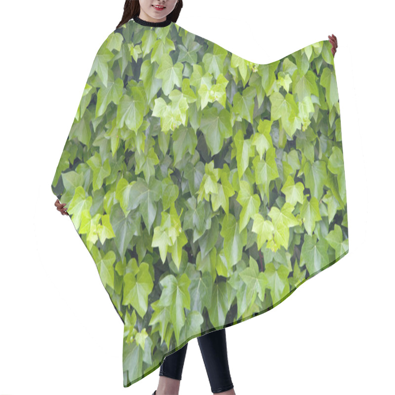 Personality  Green Leaves Texture Hair Cutting Cape