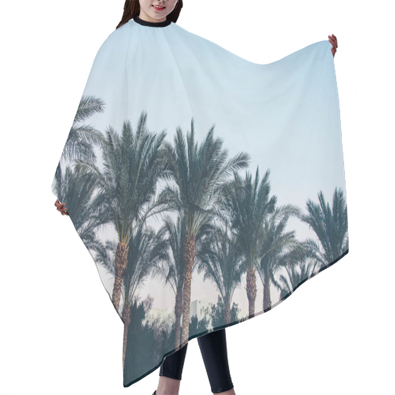 Personality  Palm Trees Hair Cutting Cape