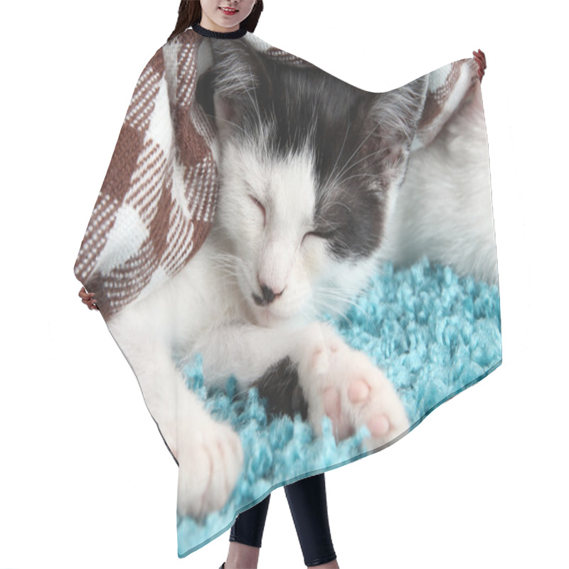 Personality  Sleeping Kitten On Blue Carpet Hair Cutting Cape