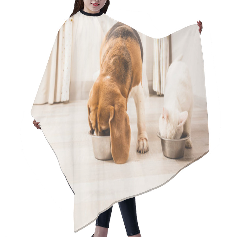 Personality  Very Hungry Pets Hair Cutting Cape