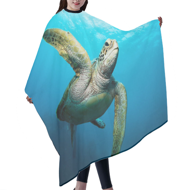 Personality  Sea Turtle Swimming In Blue Ocean Hair Cutting Cape