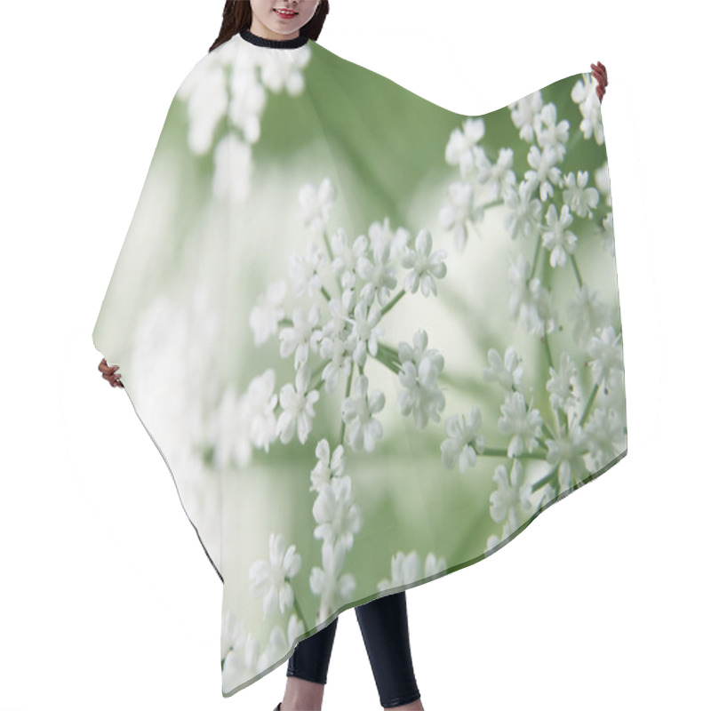 Personality  Bush Of White Flowers Hair Cutting Cape