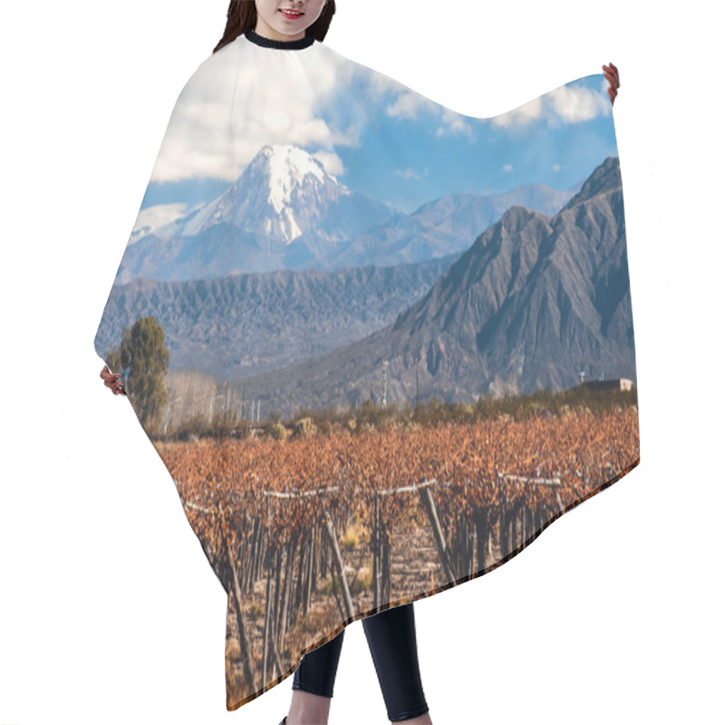 Personality  Volcano Aconcagua And Vineyard. Argentina Hair Cutting Cape