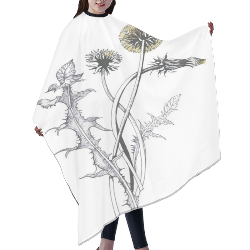 Personality  Isolated Blooming Meadow Flower Form Print Natural Outline Floral White Spring Ornament Monochrome Petal Organic Leaf Holiday Botanic Summer Graphic Blossom Drawing Black Daisies Chamomile Stem Garden Hair Cutting Cape