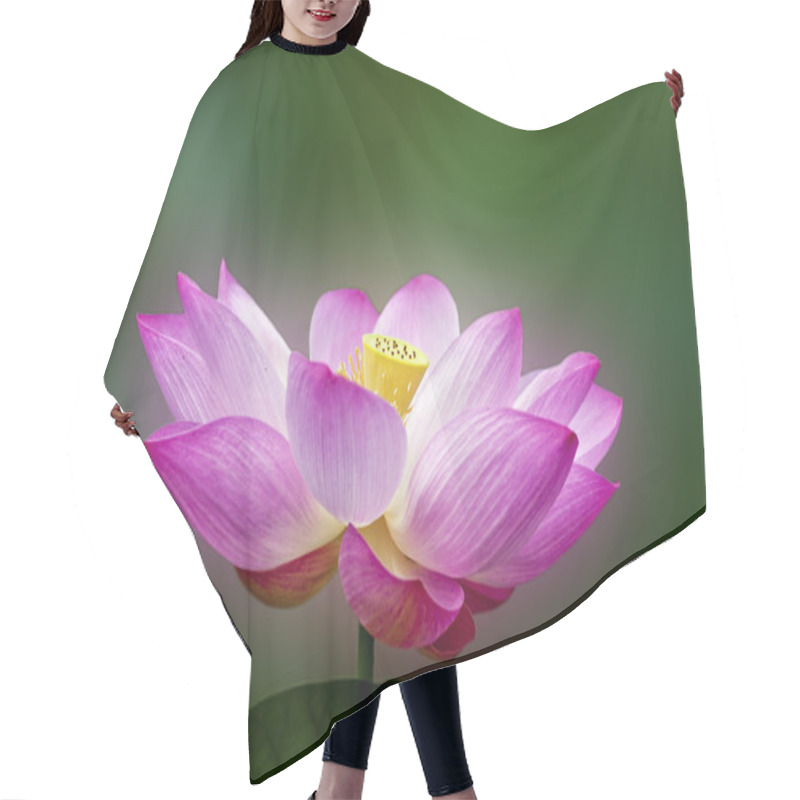 Personality  Blooming Lotus Hair Cutting Cape