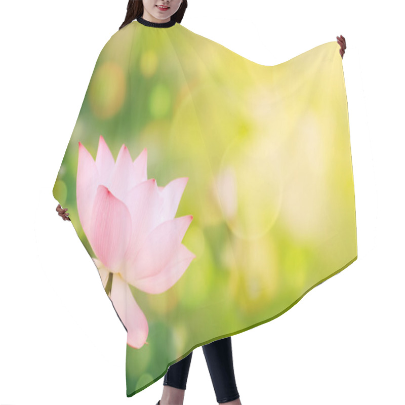 Personality  Morning Lotus Hair Cutting Cape