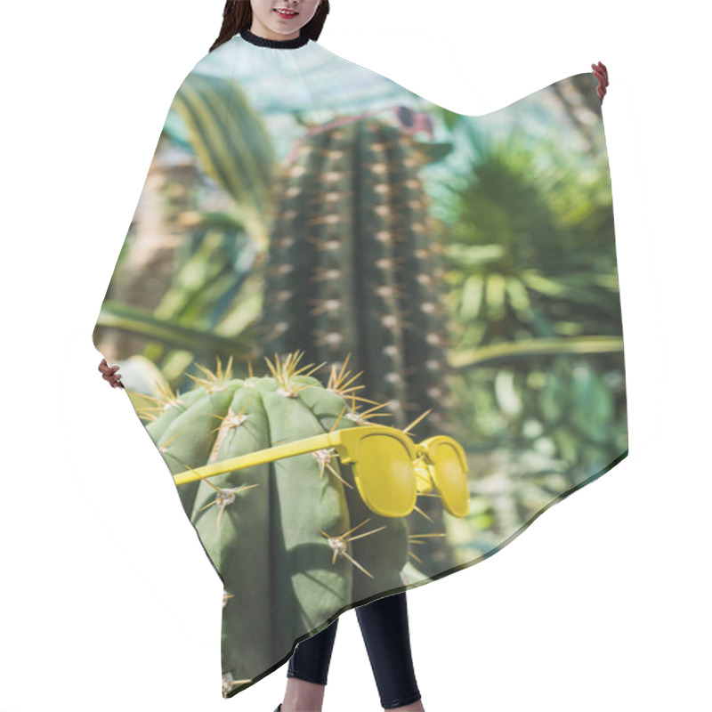 Personality  Close-up View Of Beautiful Green Cactus With Bright Yellow Sunglasses    Hair Cutting Cape