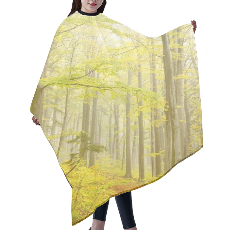 Personality  Forest Trail On The Mountain Slope Hair Cutting Cape