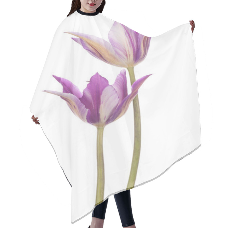 Personality  Tulip Hair Cutting Cape