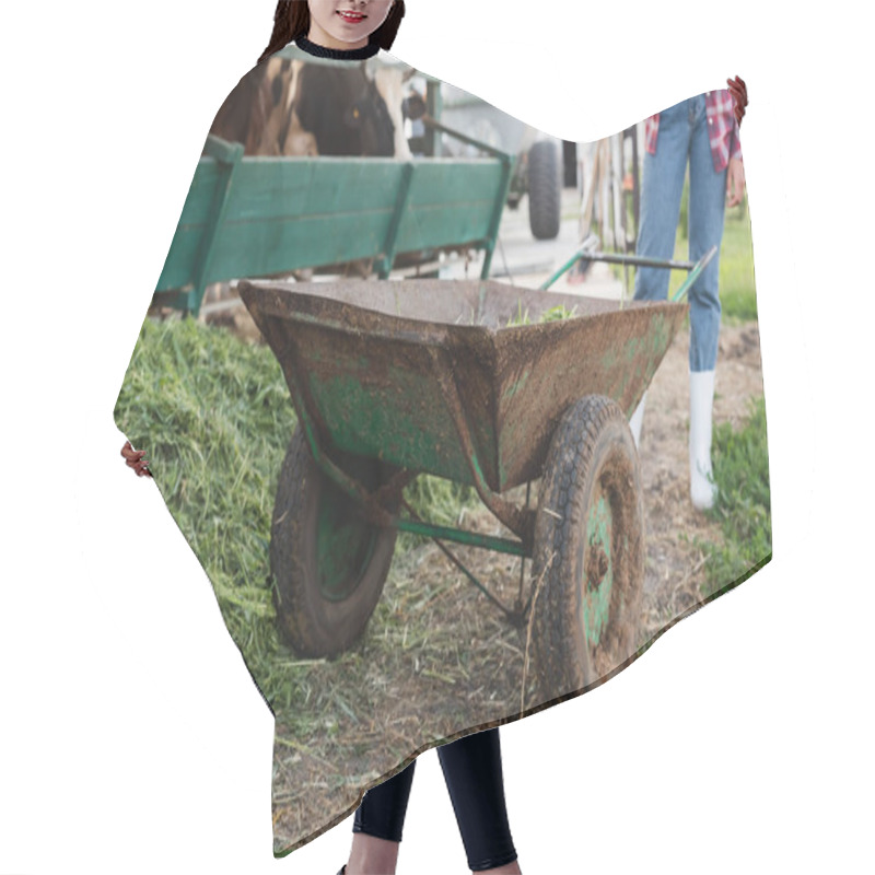 Personality  Cropped View Of African American Farmer Near Wheelbarrow And Blurred Cows In Stall Hair Cutting Cape