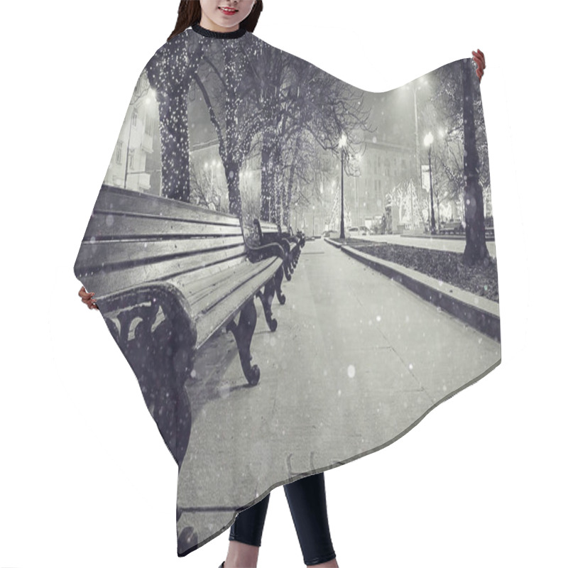 Personality  Winter At Night In The Park Hair Cutting Cape