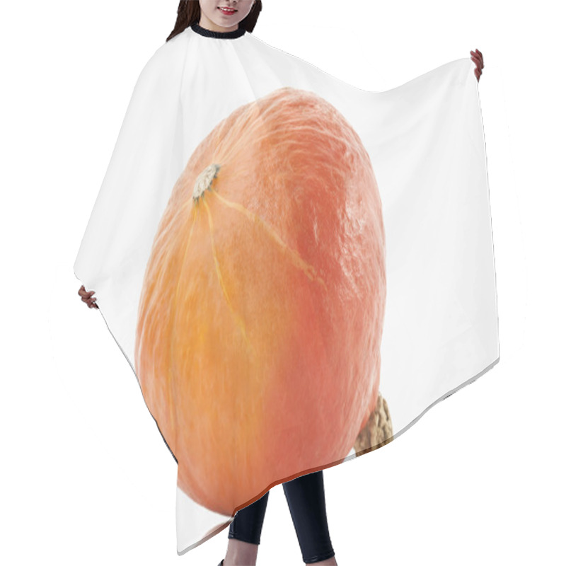 Personality  Hokaido Pumpkin On White Background Hair Cutting Cape