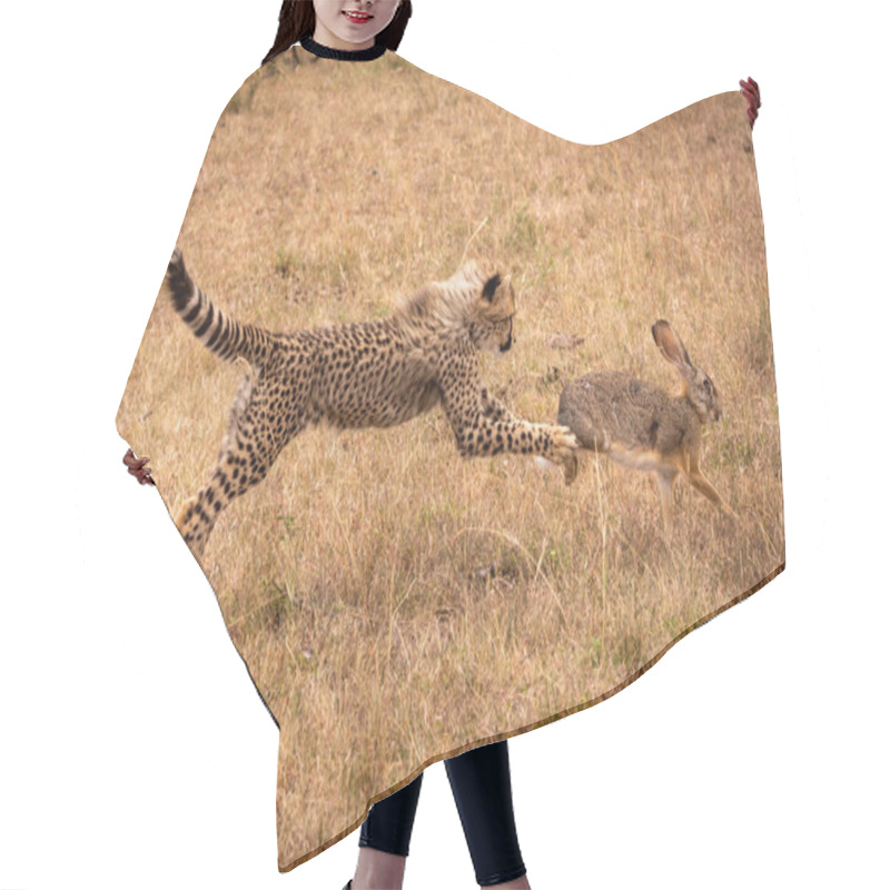 Personality  Cheetah Cub Jumps To Catch Scrub Hare Hair Cutting Cape