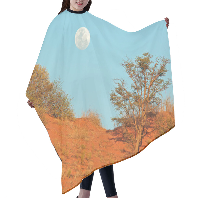 Personality  Desert Dune With Moon Hair Cutting Cape