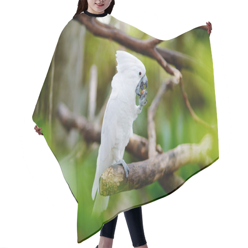 Personality  White Cockatoo Parrot On A Branch Hair Cutting Cape