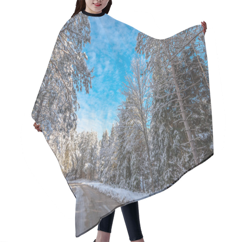 Personality  Snow Covered Woods - Beautiful Forests Along Rural Roads. Hair Cutting Cape