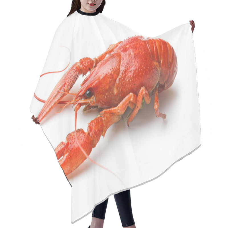 Personality  Boiled Crawfish Hair Cutting Cape