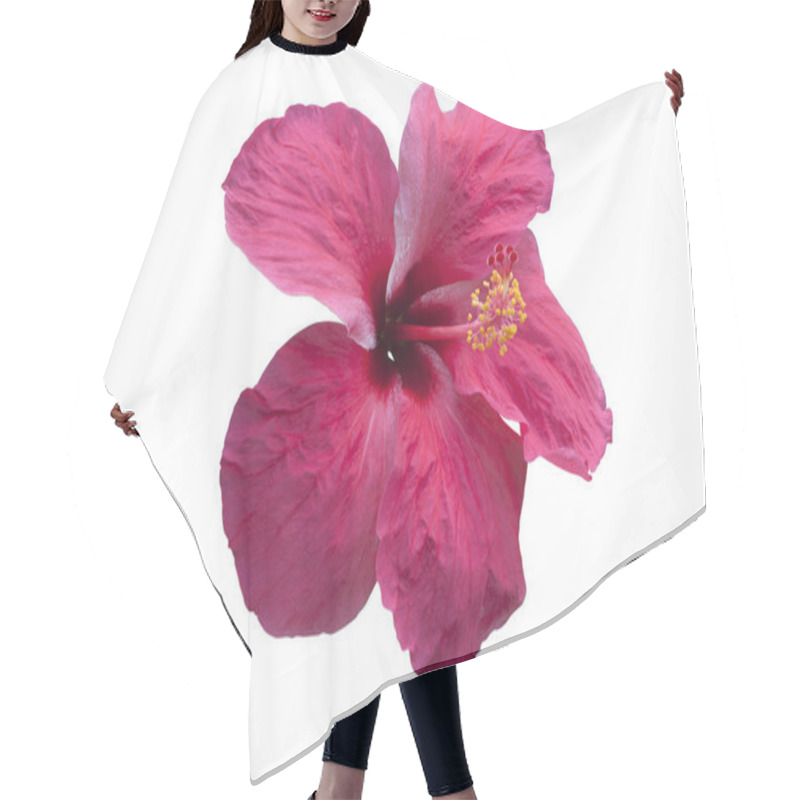 Personality  Pink Hibiscus Flower Isolated On White. Objects With Clipping Paths. Hair Cutting Cape