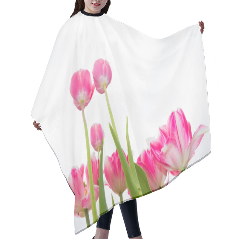 Personality  Pink Tulips In The Garden  Hair Cutting Cape