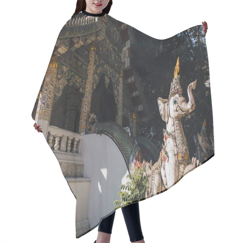 Personality  Temple Hair Cutting Cape