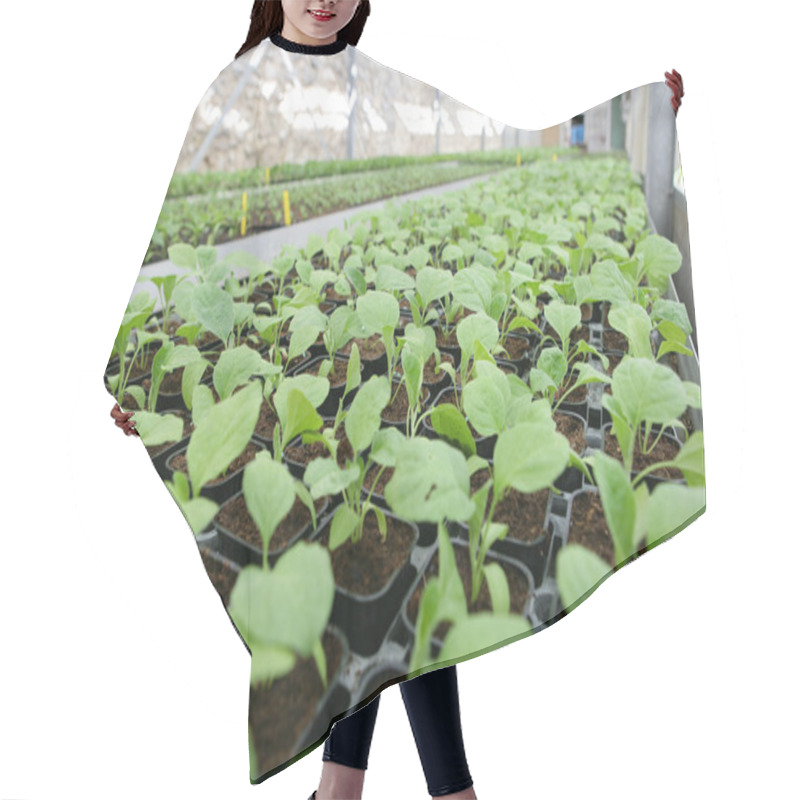 Personality  Green Shoots Inside Green House Hair Cutting Cape