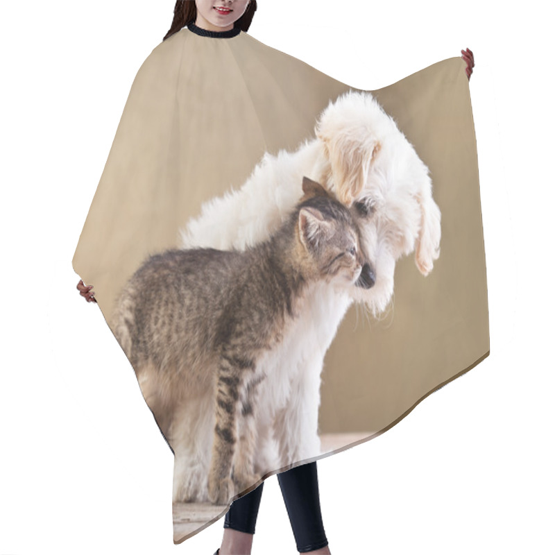 Personality  Friends - Dog And Cat Together Hair Cutting Cape