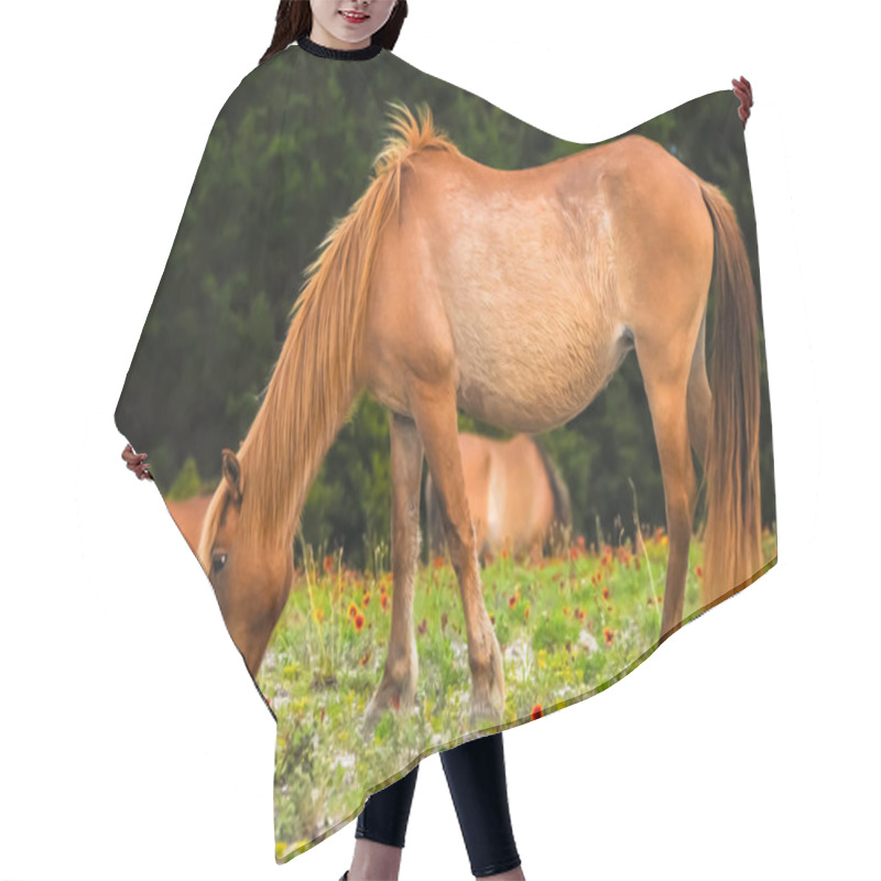 Personality  A Eating Horse Hair Cutting Cape