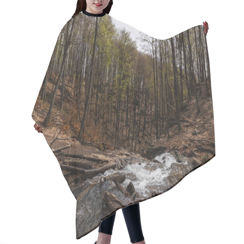 Personality  Trees And River In Mountain Forest In Autumn  Hair Cutting Cape