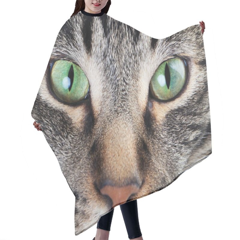 Personality  Calm Cat Eye Macro Hair Cutting Cape