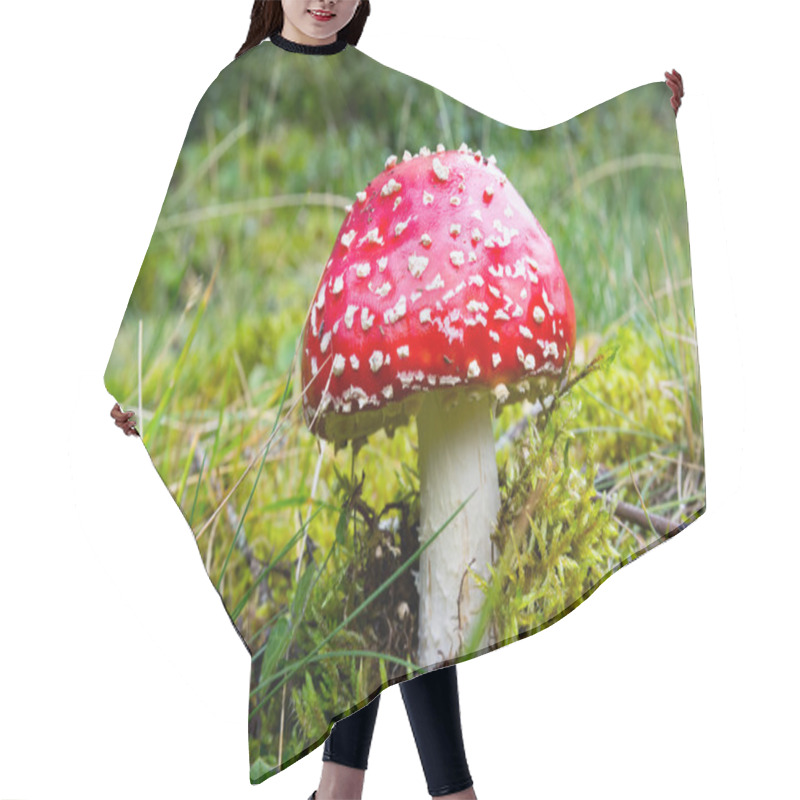 Personality  Fly Agaric Mushroom On Green Grass Hair Cutting Cape