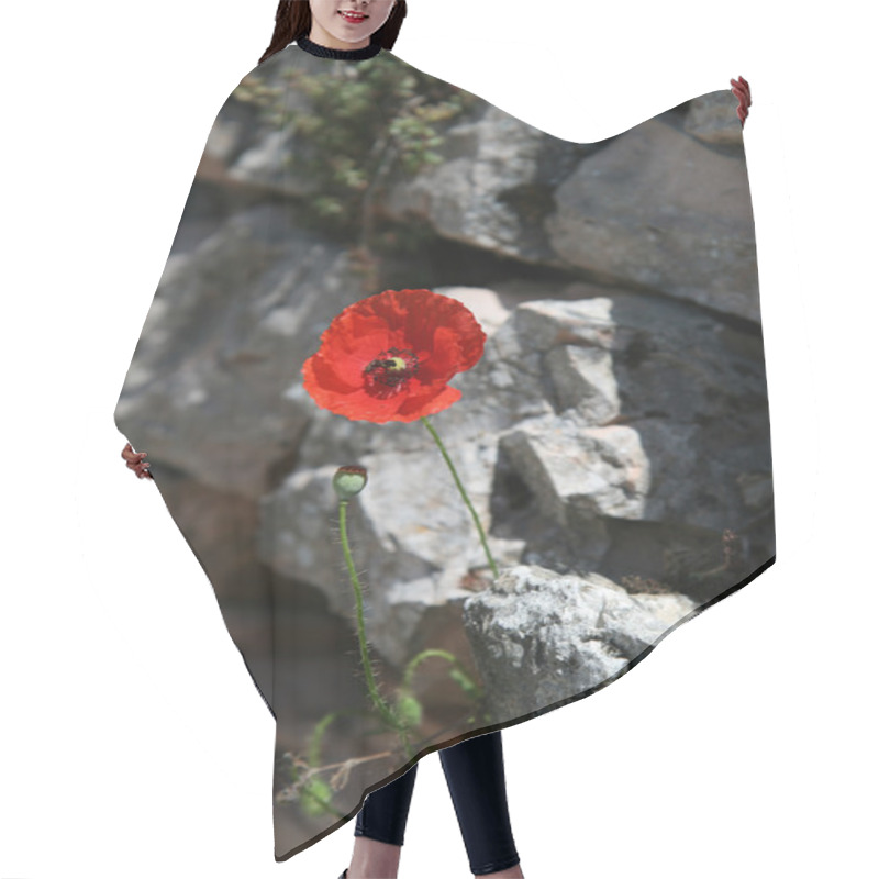 Personality  Poppy Flower Hair Cutting Cape