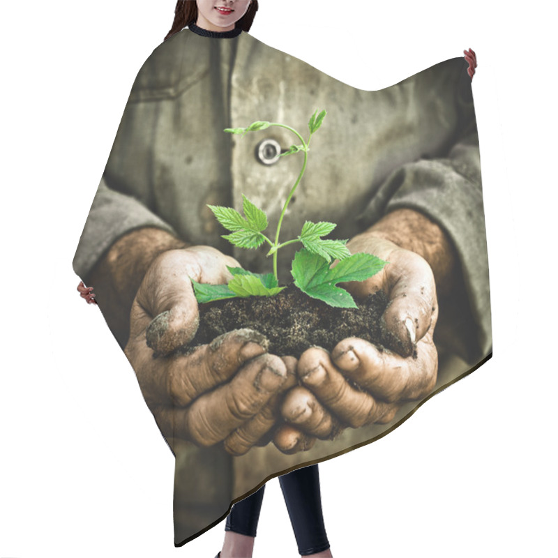 Personality  Man Hands Holding A Green Young Plant Hair Cutting Cape