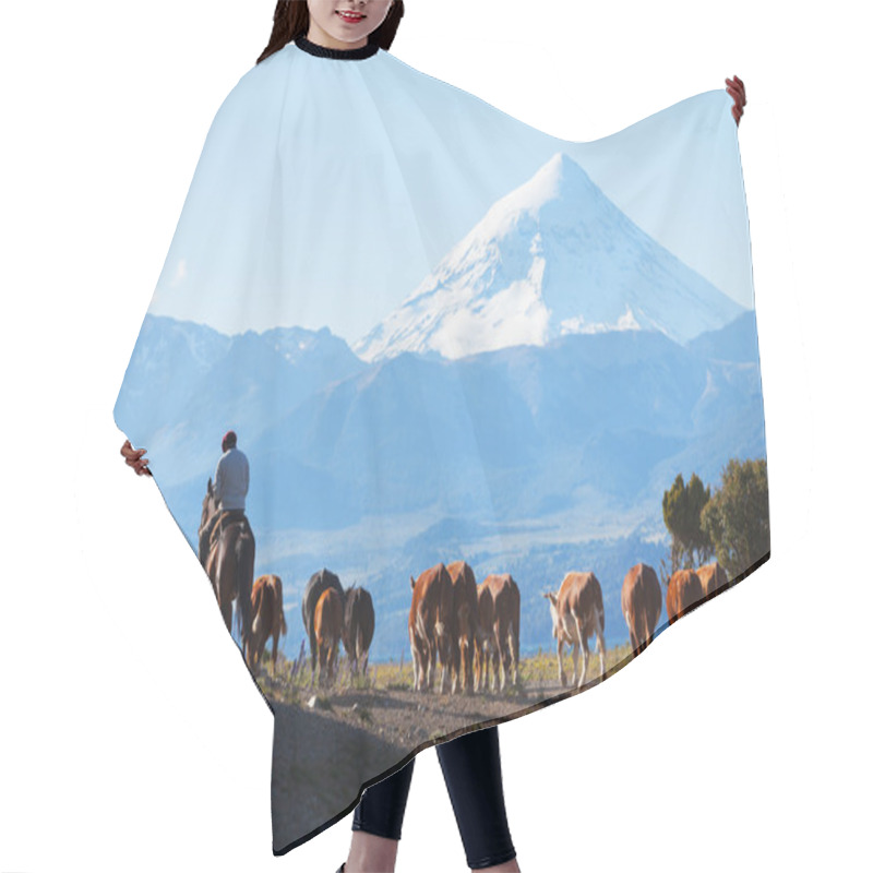 Personality  Gauchos And Herd Of Cows Hair Cutting Cape