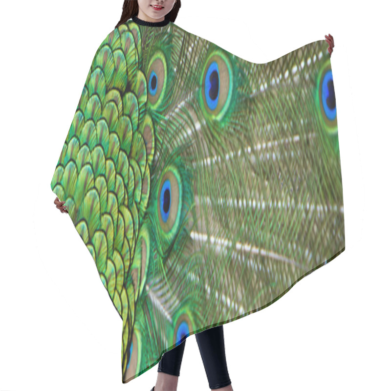 Personality  Peacock Tail Feathers Hair Cutting Cape