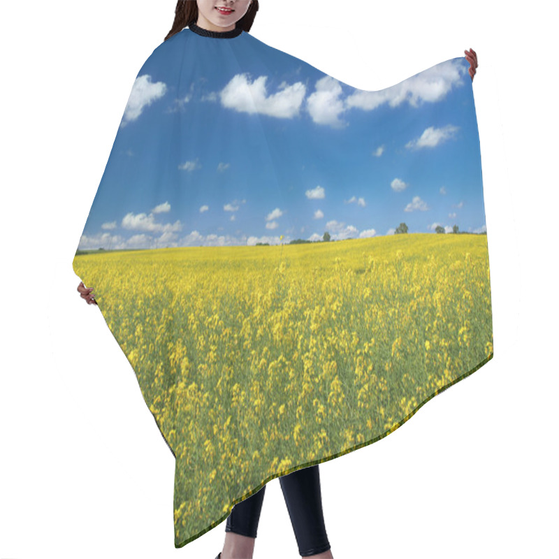 Personality  Canola Field With Cumulus Clouds Hair Cutting Cape