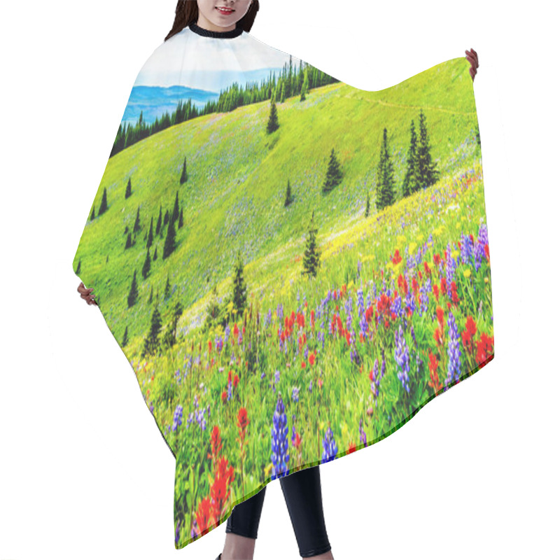 Personality  Hiking Through The Alpine Meadows Filled With Abundant Wildflowers. On Tod Mountain At The Alpine Village Of Sun Peaks In The Shuswap Highlands Of The Okanagen Region In British Columbia, Canada Hair Cutting Cape