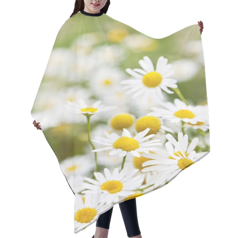 Personality  Chamomile Flowers Hair Cutting Cape