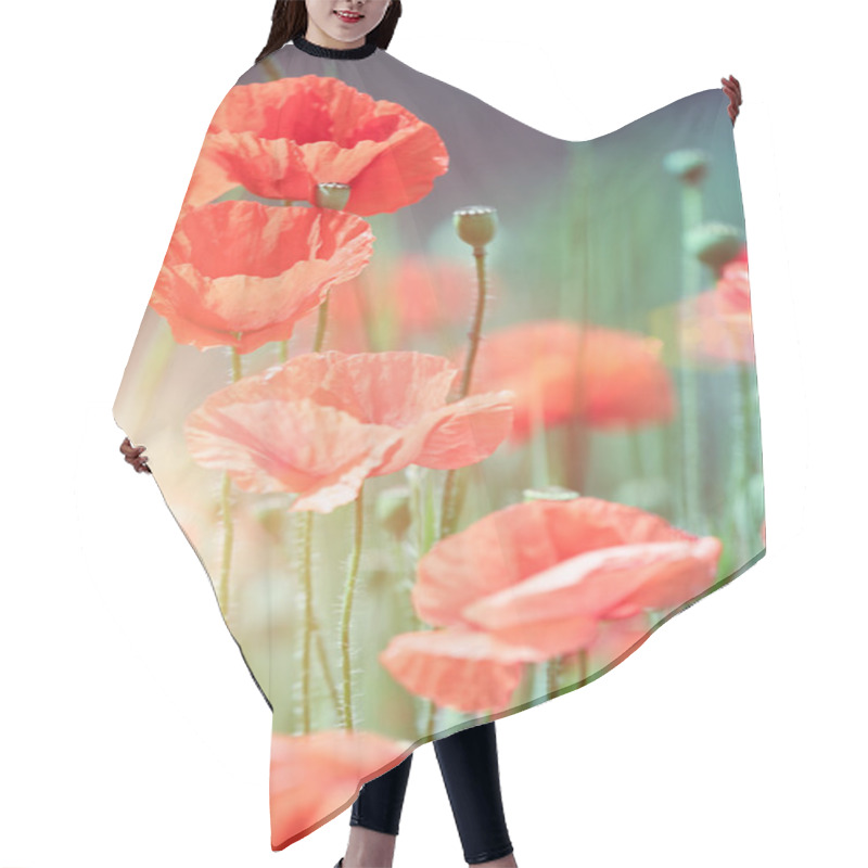 Personality  Wild Poppies Hair Cutting Cape