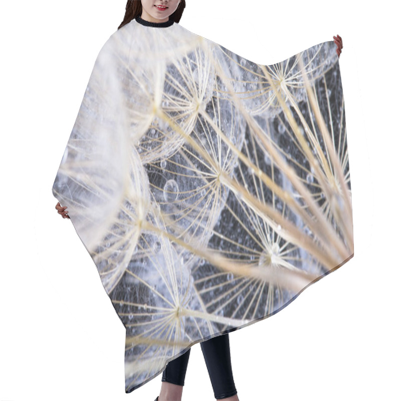 Personality   Macro Photo Of Dandelion Seeds With Water Drops Hair Cutting Cape