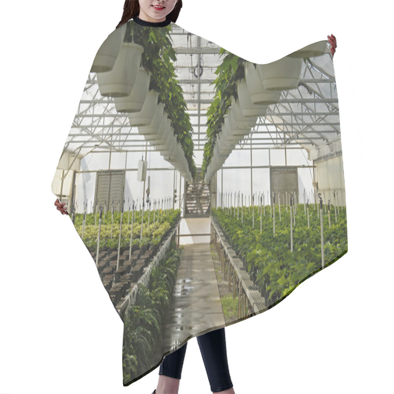 Personality  Greenhouse Hair Cutting Cape