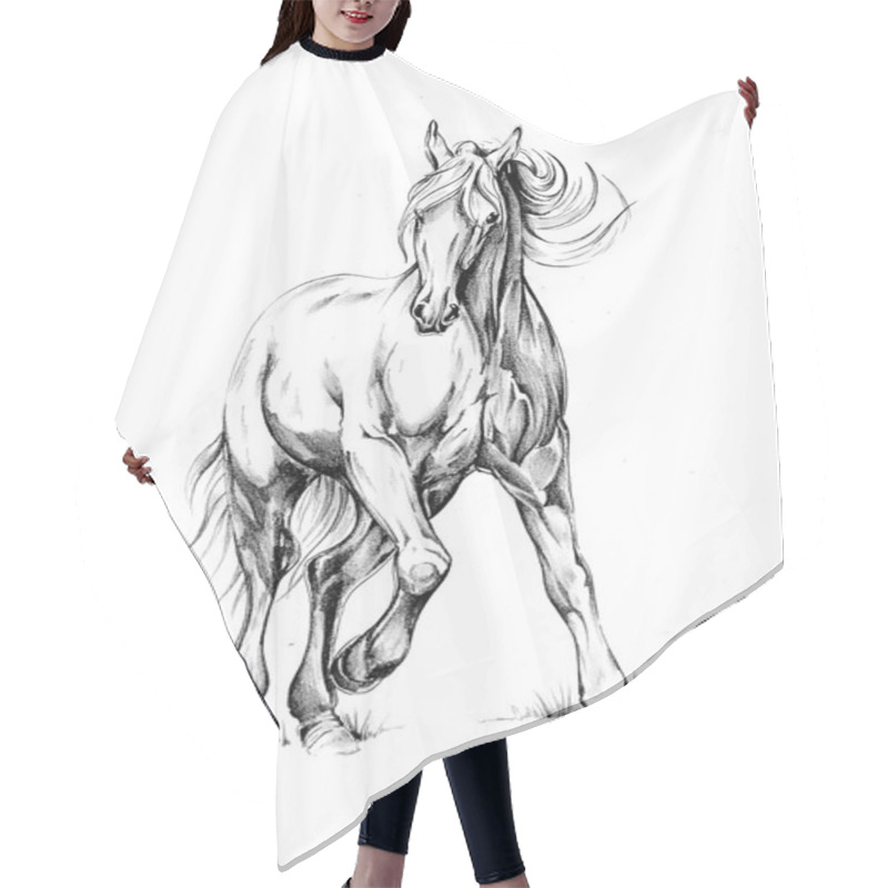 Personality  Horse Drawing Sketch Art Hair Cutting Cape