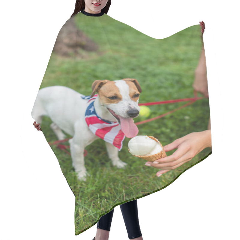 Personality  Cropped View Of Young Woman Holding Ice Cream Near Jack Russell Terrier Dog Hair Cutting Cape