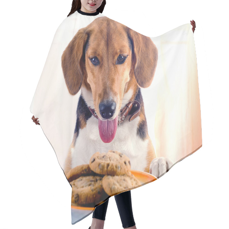 Personality  Beagle Puppy And Cookies Hair Cutting Cape