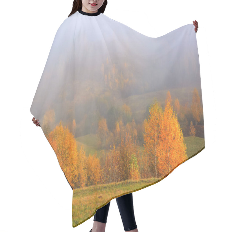 Personality  Autumn Landscape In The Sunny Day. Thick Fog Covered The Valley. In The Beautiful Forest Of The Trees With The Orange, Yellow Green Coloured Leaves And Golden Grass. Hair Cutting Cape